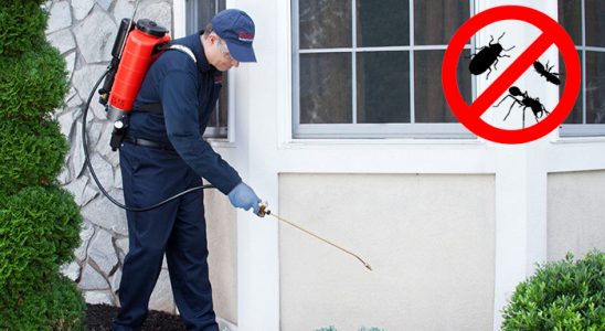 Felahiye Hamam Böceği İlaçlama böcek ilaçlama ve haşere kontrolü — ilaclama-tr.com